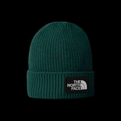 "TNF Beenie - Sourcing Kit"